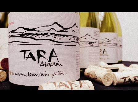 New wave Chilean Chardonnay, Tara by Ventisquero