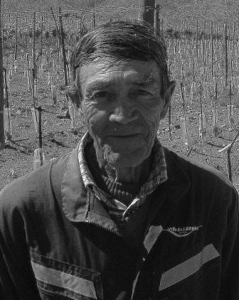 Vineyard worker, Titon, Elqui