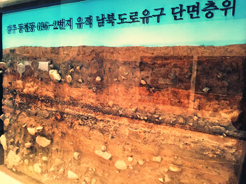 Soil-profile,-Korea
