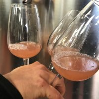 Freshly fermenting English wine October 2017