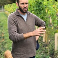 Viticulturist Duncan MacNeill, Danbury Ridge, September 2019